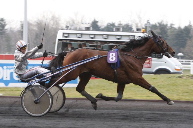 haras de la sauvagère - SAXO DE VANDEL