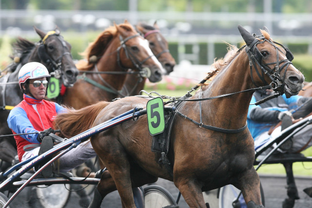haras de la sauvagère - UNICLOVE