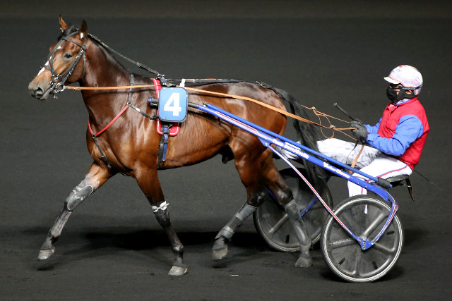 haras de la sauvagère - IN THE MONEY