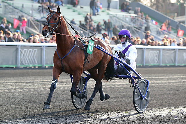 haras de la sauvagère - KANADA