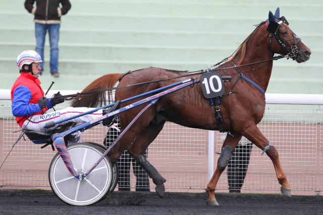 haras de la sauvagère - UNICLOVE