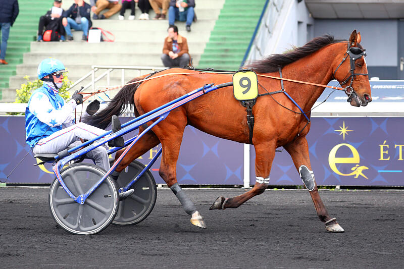haras de la sauvagère - JACK TONIC