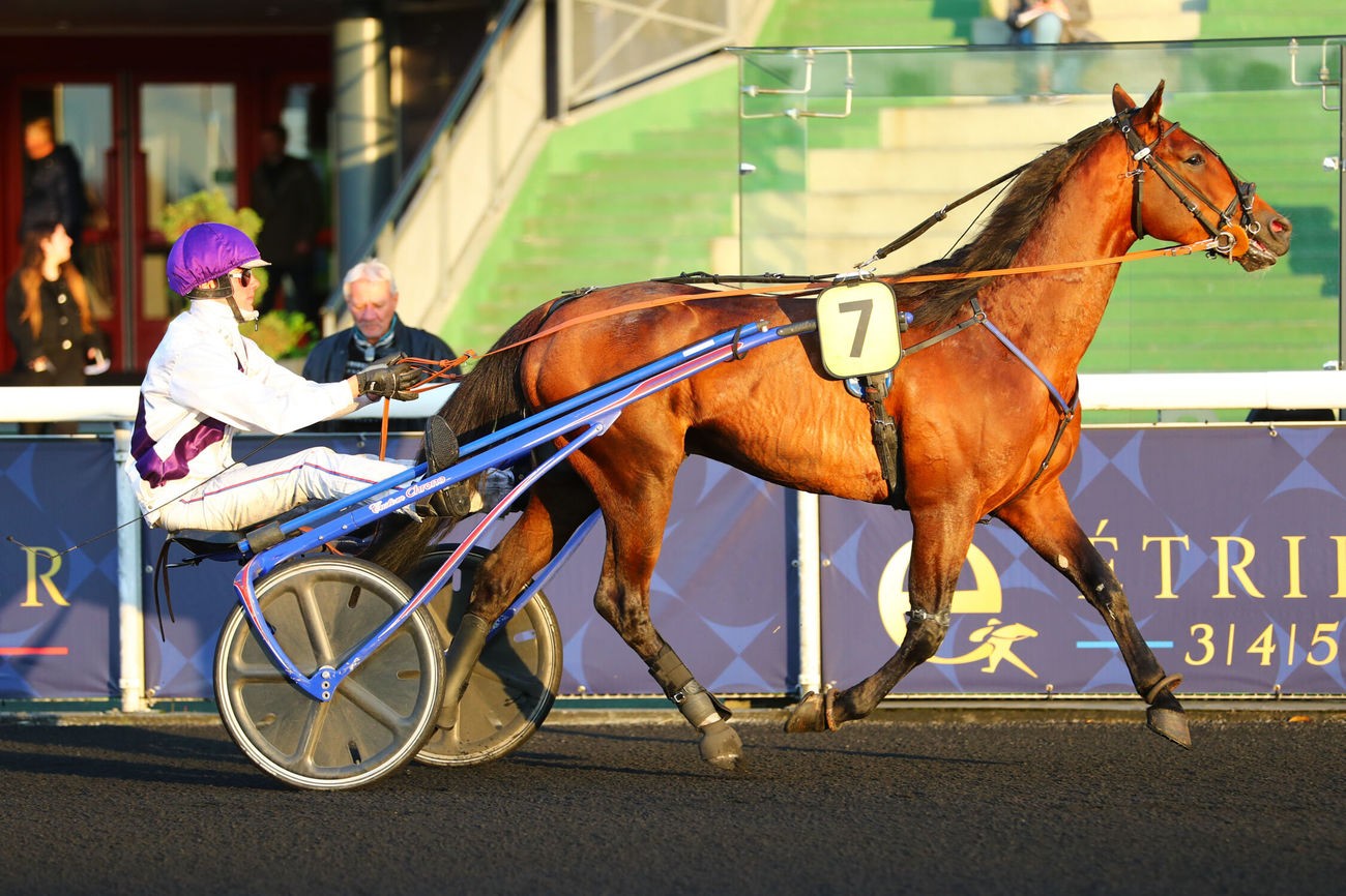 haras de la sauvagère - KANADA