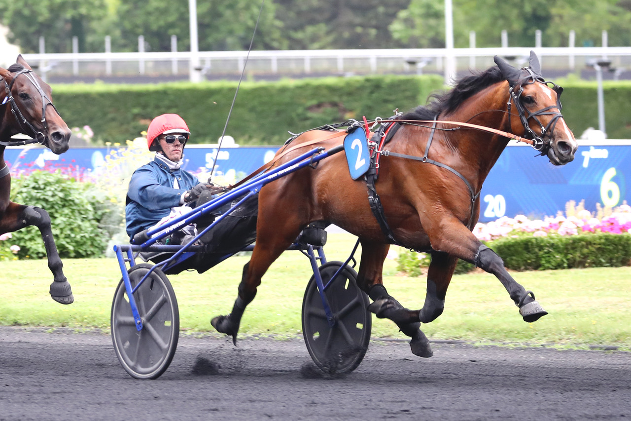 haras de la sauvagère - Lancier du Goutier
