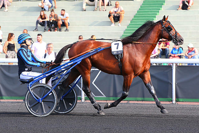 haras de la sauvagère - IDAO DE TILLARD